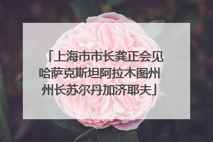 上海市市长龚正会见哈萨克斯坦阿拉木图州州长苏尔丹加济耶夫