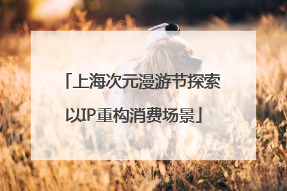 上海次元漫游节探索以IP重构消费场景