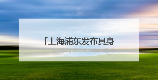 上海浦东发布具身智能产业支持16条政策：单个项目支持额度最高可达亿级