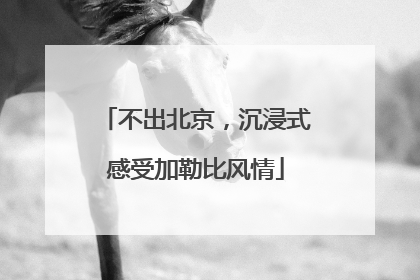 不出北京，沉浸式感受加勒比风情