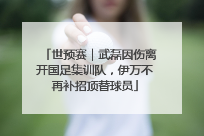 世预赛｜武磊因伤离开国足集训队，伊万不再补招顶替球员