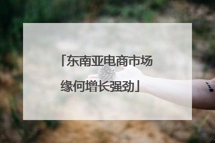 东南亚电商市场缘何增长强劲