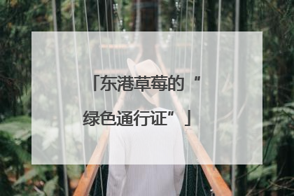 东港草莓的“绿色通行证”