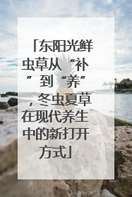 东阳光鲜虫草从“补”到“养”，冬虫夏草在现代养生中的新打开方式