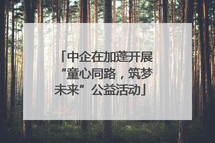 中企在加蓬开展“童心同路，筑梦未来”公益活动