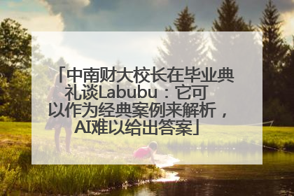 中南财大校长在毕业典礼谈Labubu：它可以作为经典案例来解析，AI难以给出答案