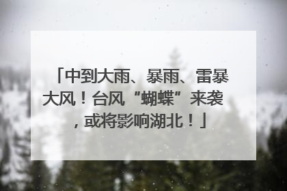 中到大雨、暴雨、雷暴大风！台风“蝴蝶”来袭，或将影响湖北！