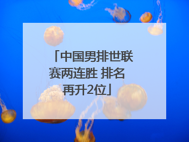 中国男排世联赛两连胜 排名再升2位