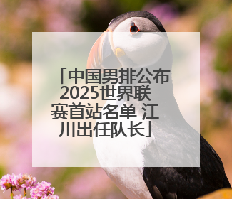 中国男排公布2025世界联赛首站名单 江川出任队长