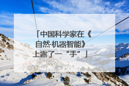 中国科学家在《自然·机器智能》上露了一“手”