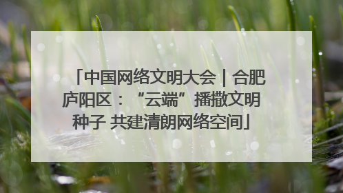 中国网络文明大会｜合肥庐阳区：“云端”播撒文明种子 共建清朗网络空间