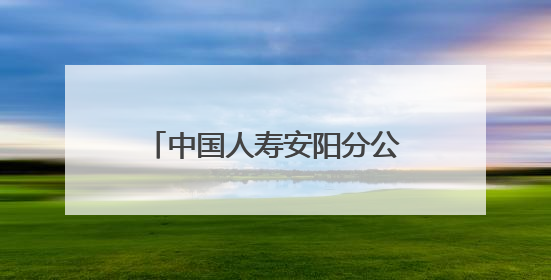 中国人寿安阳分公司：贴心服务送上门 金融温度暖人心