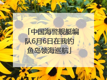 中国海警舰艇编队6月6日在我钓鱼岛领海巡航