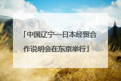 中国辽宁—日本经贸合作说明会在东京举行