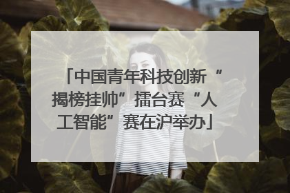 中国青年科技创新“揭榜挂帅”擂台赛“人工智能”赛在沪举办