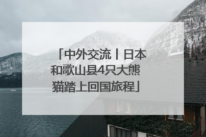 中外交流丨日本和歌山县4只大熊猫踏上回国旅程