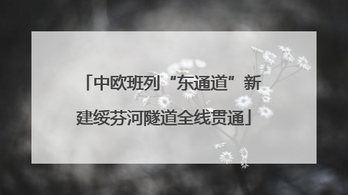 中欧班列“东通道”新建绥芬河隧道全线贯通