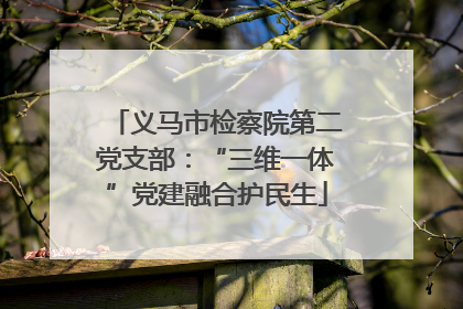 义马市检察院第二党支部：“三维一体”党建融合护民生