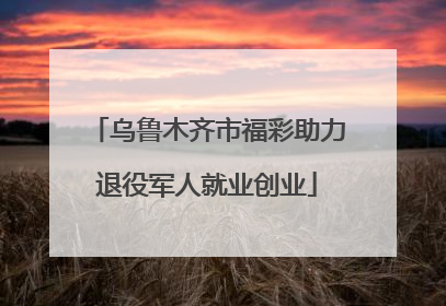 乌鲁木齐市福彩助力退役军人就业创业