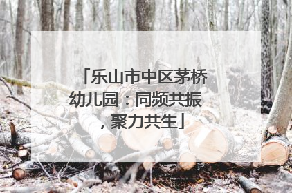 乐山市中区茅桥幼儿园：同频共振，聚力共生