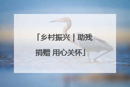 乡村振兴｜助残捐赠 用心关怀