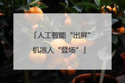人工智能“出屏” 机器人“登场”
