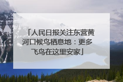人民日报关注东营黄河口候鸟栖息地：更多飞鸟在这里安家