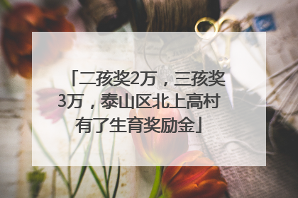 二孩奖2万，三孩奖3万，泰山区北上高村有了生育奖励金