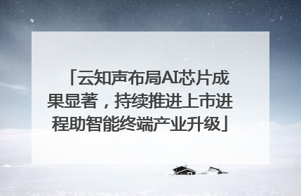 云知声布局AI芯片成果显著，持续推进上市进程助智能终端产业升级