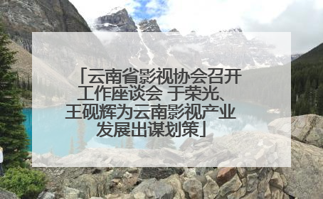 云南省影视协会召开工作座谈会 于荣光、王砚辉为云南影视产业发展出谋划策