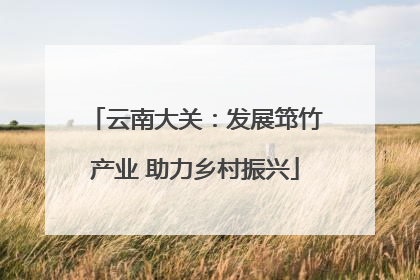 云南大关：发展筇竹产业 助力乡村振兴