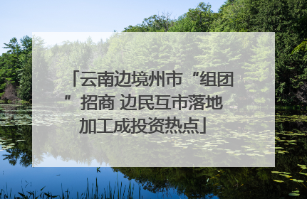 云南边境州市“组团”招商 边民互市落地加工成投资热点