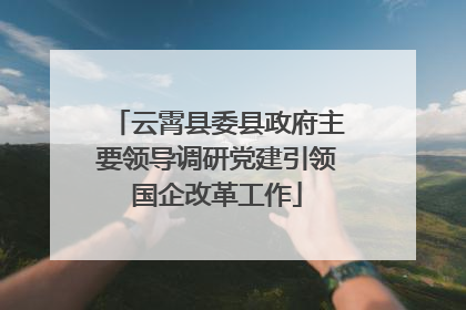 云霄县委县政府主要领导调研党建引领国企改革工作