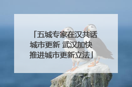 五城专家在汉共话城市更新 武汉加快推进城市更新立法