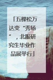 五棵松万达变“秀场”，北服研究生毕业作品展举行