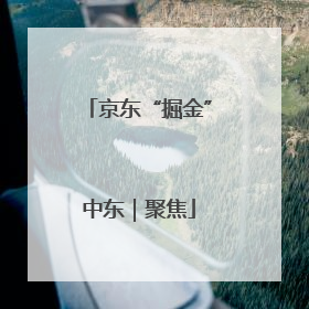 京东“掘金”中东｜聚焦