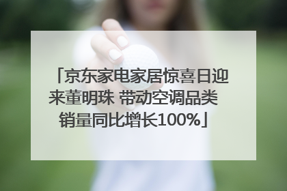 京东家电家居惊喜日迎来董明珠 带动空调品类销量同比增长100%