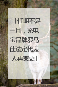 任期不足三月，充电宝品牌罗马仕法定代表人再变更