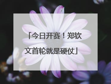 今日开赛！郑钦文首轮就是硬仗