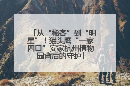 从“稀客”到“明星”！猫头鹰“一家四口”安家杭州植物园背后的守护