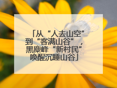 从“人去山空”到“客满山谷”，黑麋峰“新村民”唤醒沉睡山谷
