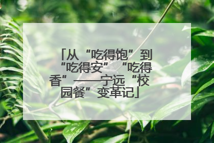 从“吃得饱”到“吃得安”“吃得香”——宁远“校园餐”变革记