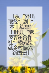 从“外出取经”到“本土结果”！叶县“党支部+合作社”模式绘就乡村振兴新图景