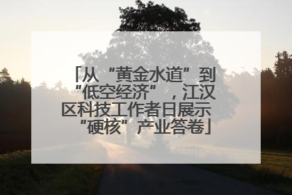 从“黄金水道”到“低空经济”，江汉区科技工作者日展示“硬核”产业答卷