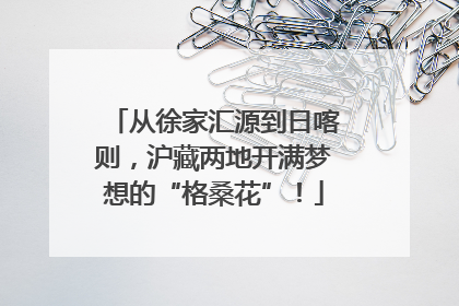 从徐家汇源到日喀则，沪藏两地开满梦想的“格桑花”！