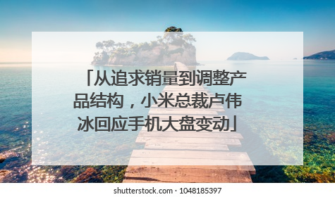 从追求销量到调整产品结构，小米总裁卢伟冰回应手机大盘变动