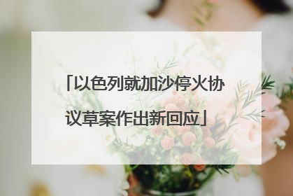 以色列就加沙停火协议草案作出新回应
