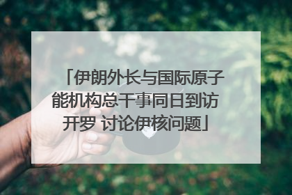 伊朗外长与国际原子能机构总干事同日到访开罗 讨论伊核问题