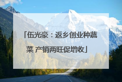 伍光豪：返乡创业种蔬菜 产销两旺促增收