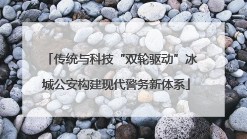 传统与科技“双轮驱动”冰城公安构建现代警务新体系